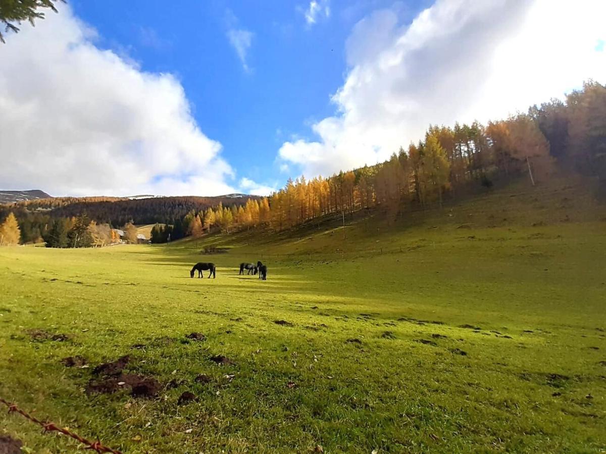 Chalet Verdino Bad Kleinkirchheim Ngoại thất bức ảnh
