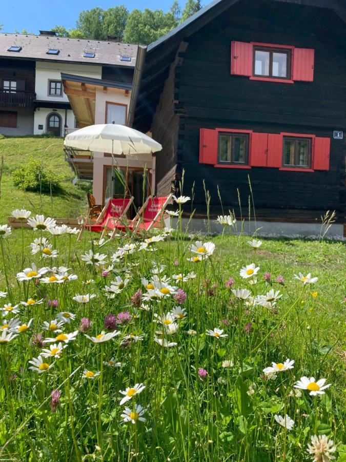 Chalet Verdino Bad Kleinkirchheim Ngoại thất bức ảnh